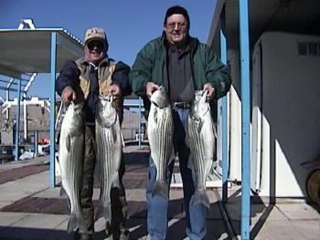 Striped Bass Fishing was Great for Mr. Blue!!