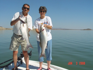 Elephant Butte Striped Bass Fishing