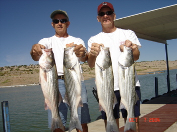 Brothers: Gary & Bill Gilliland