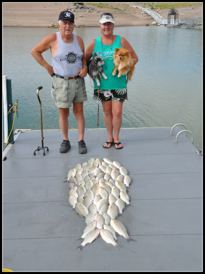 White Bass Fishing with Guide, Billy Jack Miller