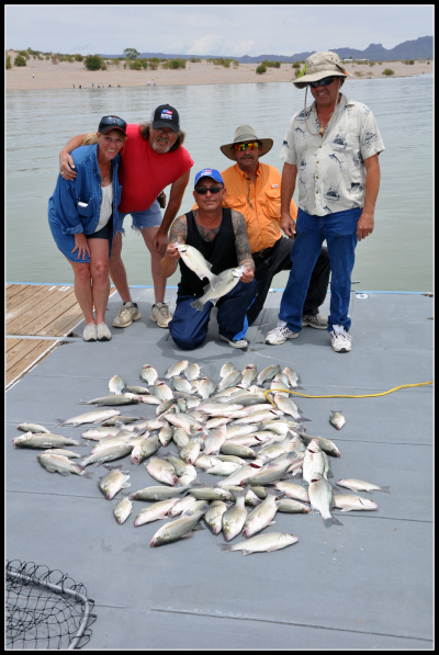 White Bass Fishing in Elephant Butte, New Mexico
