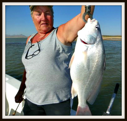 New Species in Elephant Butte Lake