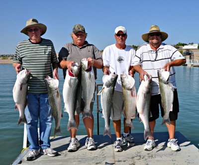 Striped Bass Fishing with Rio Grande Guide Service