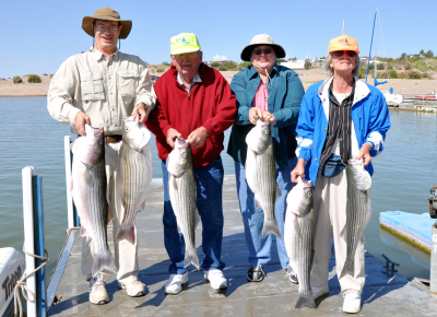 Striped Bass Fishing with Guide, Billy Jack Miller