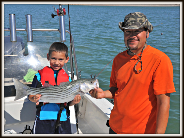 Striped Bass Fishing on Elephant Butte Lake