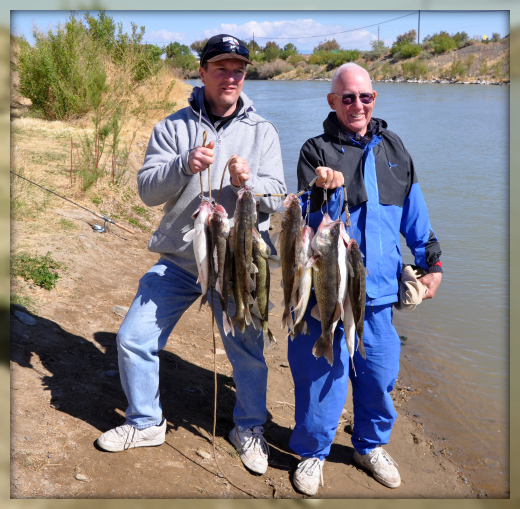 Walleye Fishing Elephant Butte, New Mexico