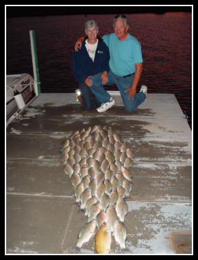 Elephant Butte Lake White Bass Mania